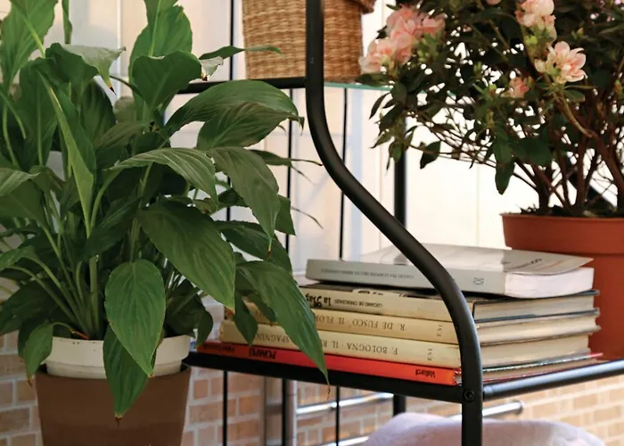 Bed and breakfast Luna Caprese 4*