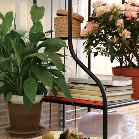 Alojamento de Acomodação e Pequeno-almoço Luna Caprese 4*